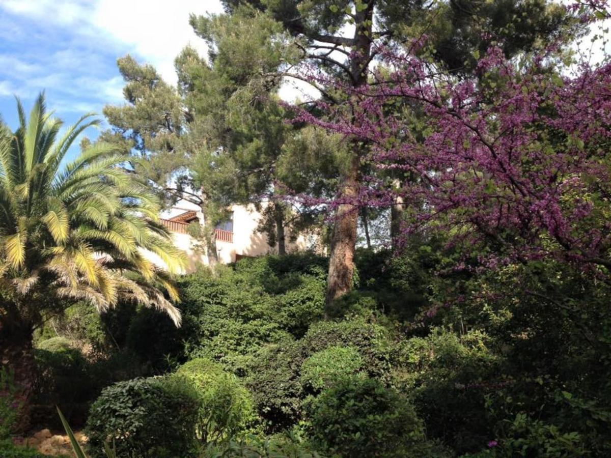 Studio 110 Grande Terrasse Proche Mer Bandol Dış mekan fotoğraf
