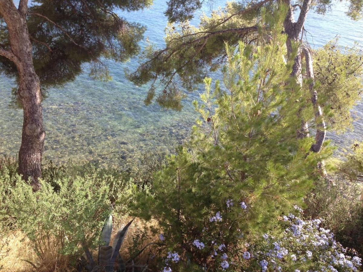 Studio 110 Grande Terrasse Proche Mer Bandol Dış mekan fotoğraf