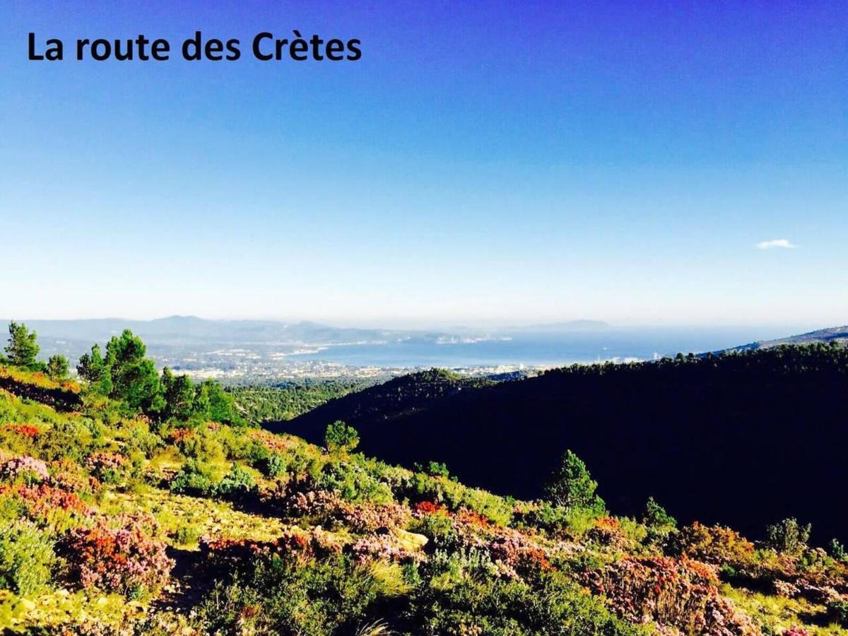 Studio 110 Grande Terrasse Proche Mer Bandol Dış mekan fotoğraf