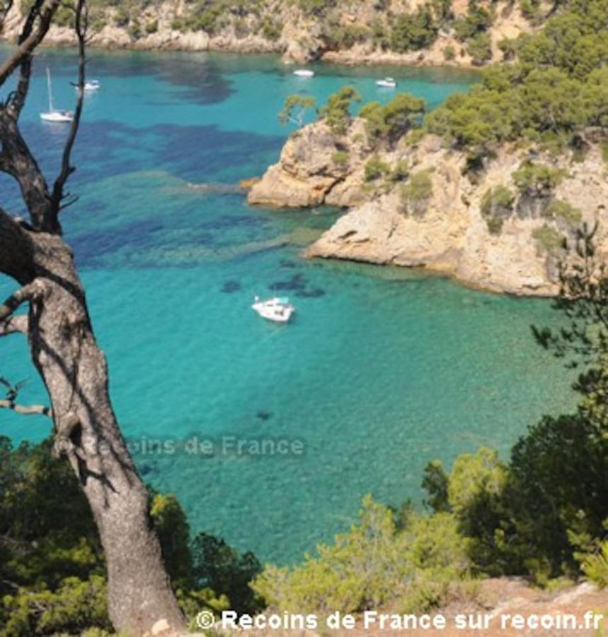 Studio 110 Grande Terrasse Proche Mer Bandol Dış mekan fotoğraf