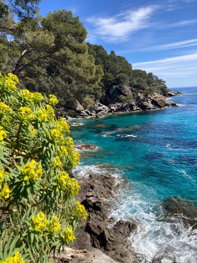 Studio 110 Grande Terrasse Proche Mer Bandol Dış mekan fotoğraf