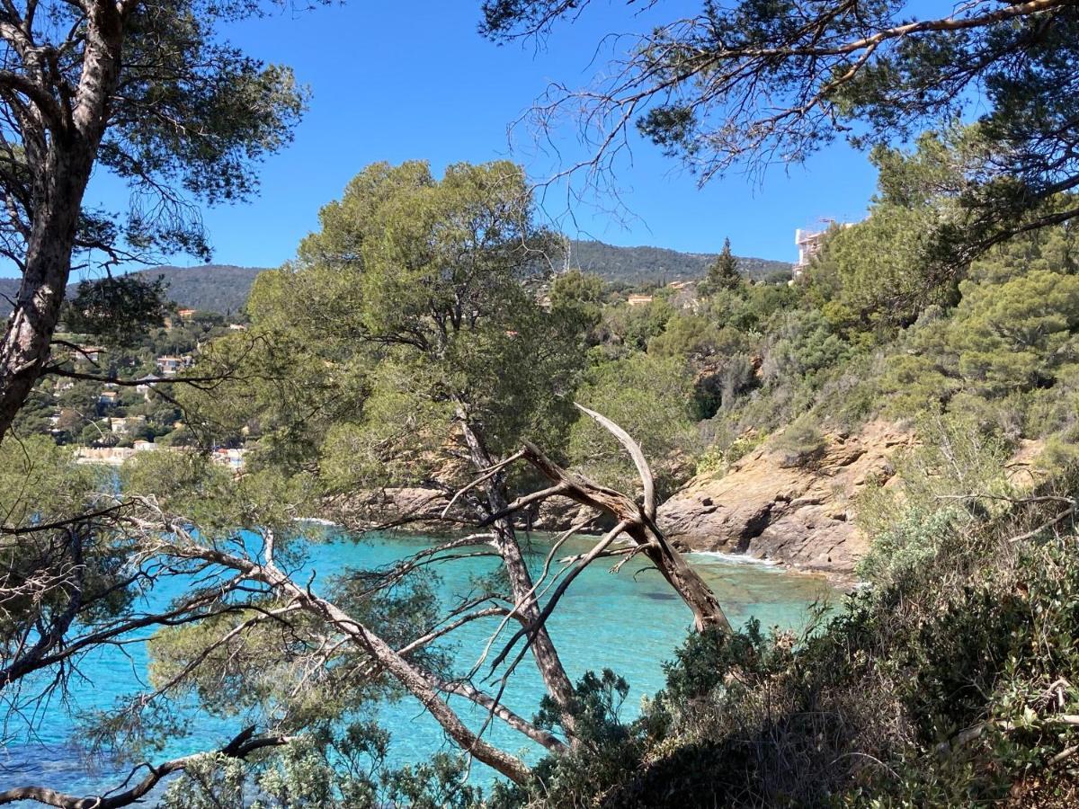 Studio 110 Grande Terrasse Proche Mer Bandol Dış mekan fotoğraf