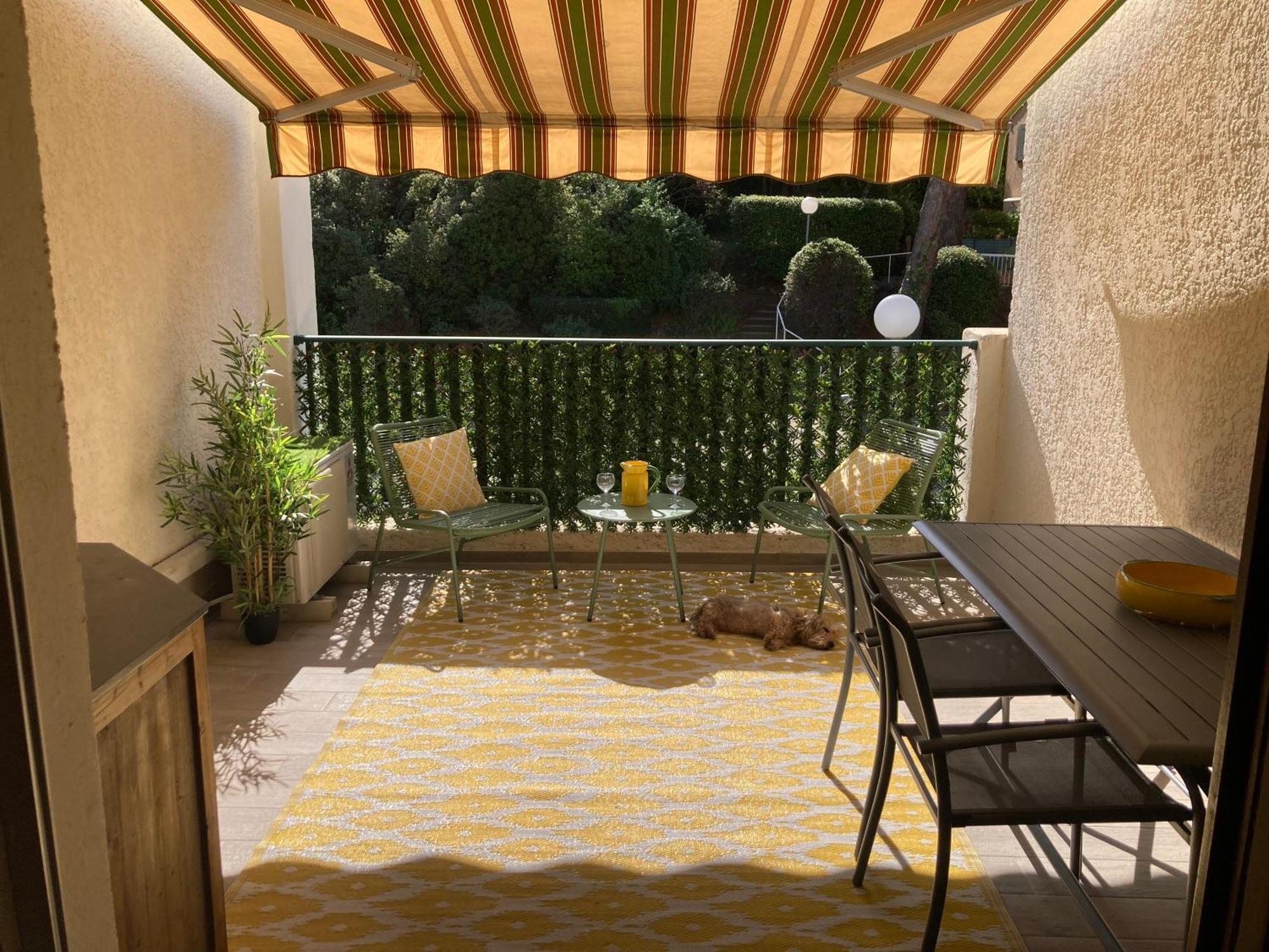Studio 110 Grande Terrasse Proche Mer Bandol Dış mekan fotoğraf